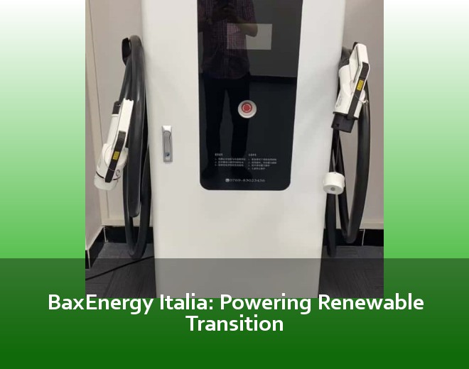 BaxEnergy Italia: Powering Renewable Transition